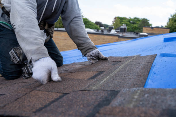 Best Best Roofing Contractors  in El Paso, IL