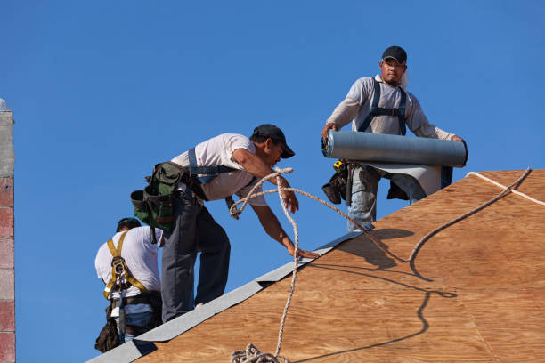 Best Roof Repair Services  in El Paso, IL